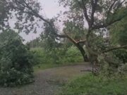 المناصب الكهربائية التي سقطت ، أشجار اقتلاعها: microfales تسبب في أضرار مونتيريجي