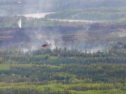 يقول المسؤولون الفيدراليون إن توقعات الهشيم تُظهر مخاطر عالية من المزيد من الحرائق في أغسطس