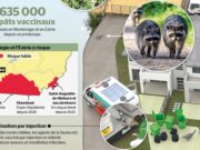 infographic | الغضب: كيف نقوم بقاحات غسالة خام