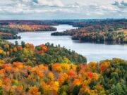 خريطة ألوان السقوط: أين تذهب لتحقيق أقصى استفادة منها هذا الأسبوع