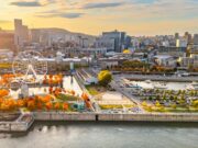 تحذير من الصقيع في جنوب ووسط كيبيك ليلاً من الخميس إلى الجمعة