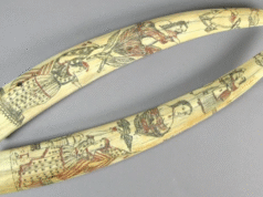 لصوص يسرقون أكثر من 1000 قطعة من مجموعة المتحف في عملية سرقة “وقحة” | أخبار الولايات المتحدة