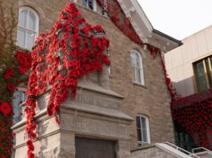 الآلاف من زهور الخشخاش المحبوكة تغطي المباني في جميع أنحاء نياجرا بمناسبة يوم الذكرى