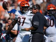 تقرير: Bengals DE Shemar Stewart (الركبة) يهبط على IR