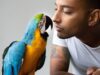 الأطباء البيطريون يحذرون الحكومة: حظر الببغاوات والحيوانات الأليفة الأخرى سيشجع السوق السوداء
