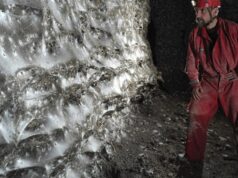 وجدوا أكبر شبكة عنكبوت في العالم في كهف باليونان: تضم 111000 عنكبوت