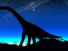 تم اكتشاف أكثر من 16000 أثر لأقدام ديناصورات: لقد ركضوا وسبحوا وجروا ذيولهم